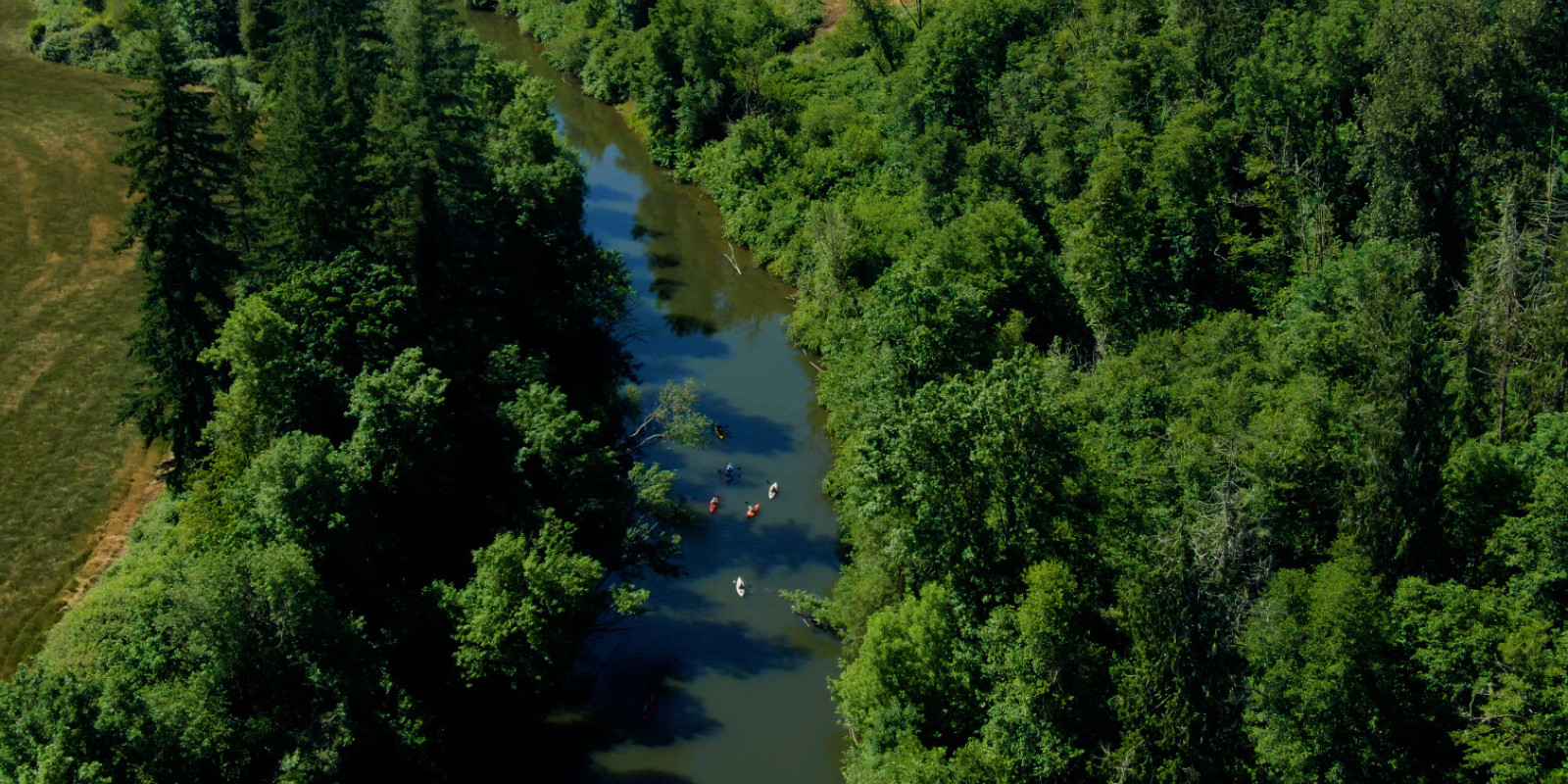 An overhead view of the Tualatin River with people kayaking on it.